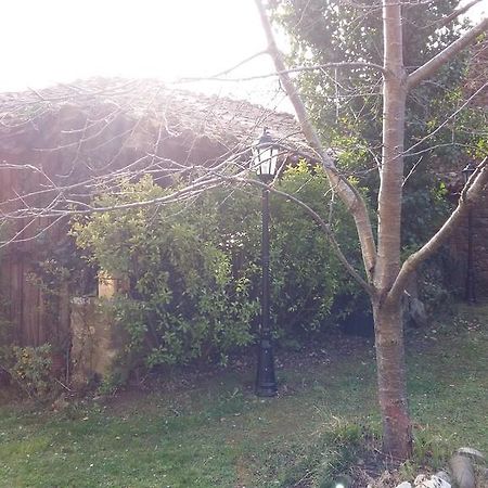 Casa Rural Josefina Aliezo Εξωτερικό φωτογραφία